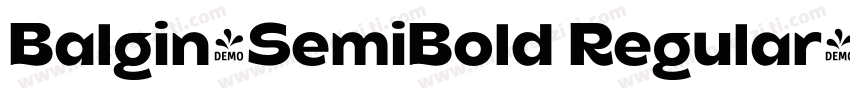 Balgin-SemiBold Regular字体转换